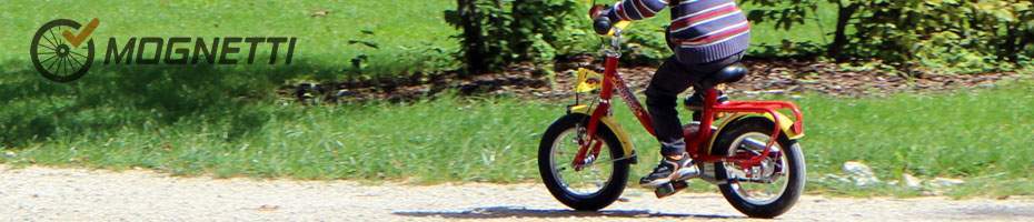 Kids bikes Lombardo Rebel Kidz