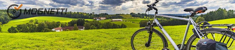 Trekking bikes Fuji Lombardo