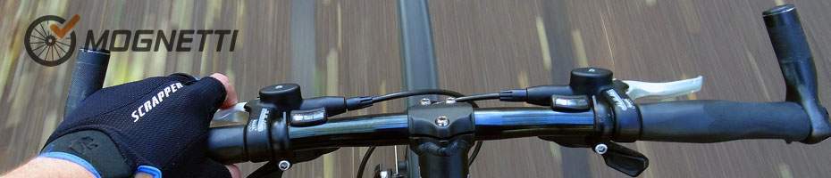 Bike Steering Ergotec